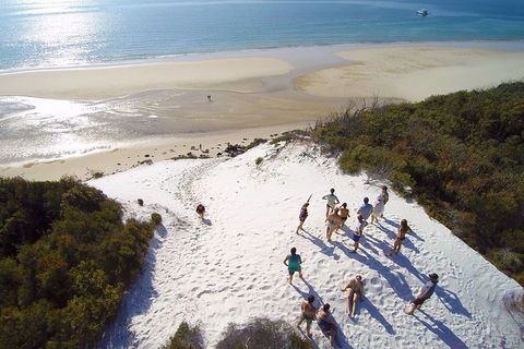 Remote Fraser Island & Whale Experience - Accommodation Main Beach 2