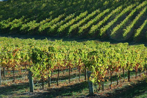 Adelaide Hills Wineries & Hahndorf - Accommodation Main Beach 10