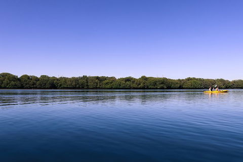 Dolphin Sanctuary Kayaking In Adelaide - Accommodation Main Beach 2