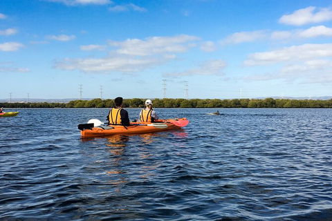 Dolphin Sanctuary Kayaking In Adelaide - Accommodation Main Beach 0
