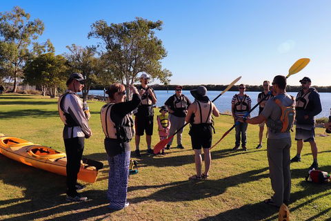 Dolphin Sanctuary Kayaking In Adelaide - Accommodation Main Beach 6