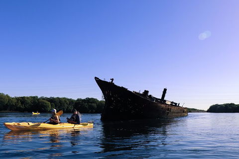 Dolphin Sanctuary Kayaking In Adelaide - Accommodation Main Beach 5