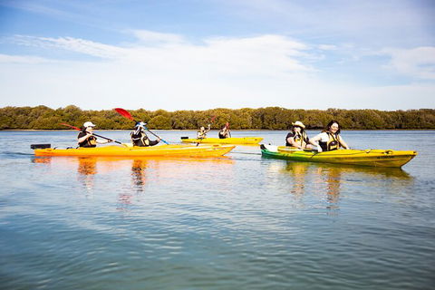 Dolphin Sanctuary Kayaking In Adelaide - Accommodation Main Beach 1