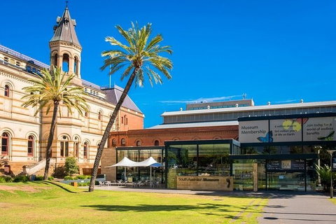 Arrival Private Transfers: Adelaide Airport ADL To Adelaide In Business Car - Accommodation Main Beach 6