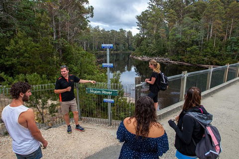 Tahune Airwalk Active Day Trip From Hobart Including Hastings Caves - Accommodation Main Beach 3