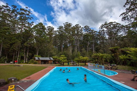 Tahune Airwalk Active Day Trip From Hobart Including Hastings Caves - Accommodation Main Beach 2