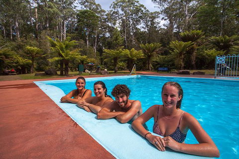 Tahune Airwalk Active Day Trip From Hobart Including Hastings Caves - Accommodation Main Beach 4