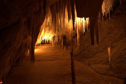 Tahune Airwalk Active Day Trip From Hobart Including Hastings Caves - Accommodation Main Beach 8