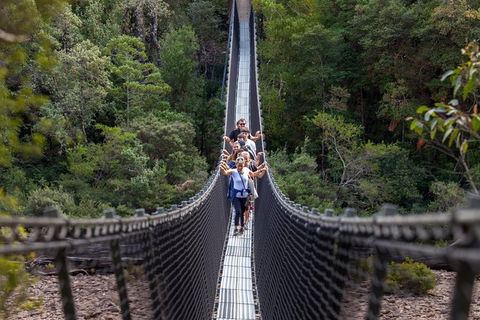 Tahune Airwalk Active Day Trip From Hobart Including Hastings Caves - Accommodation Main Beach 0