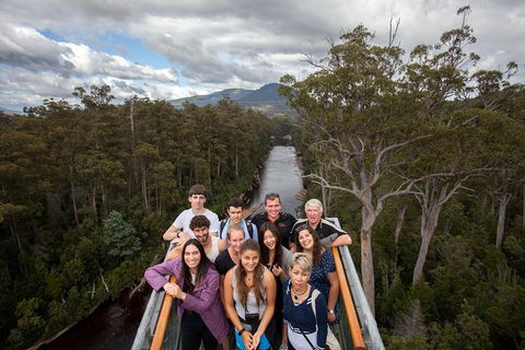 Tahune Airwalk Active Day Trip From Hobart Including Hastings Caves - Accommodation Main Beach 1