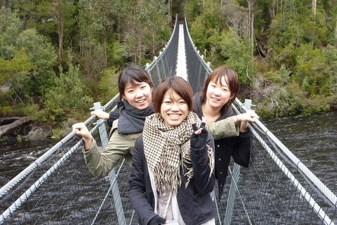 Tahune Airwalk Active Day Trip From Hobart Including Hastings Caves - Accommodation Main Beach 7