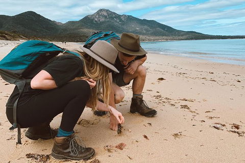 Freycinet Walking Tour - Accommodation Main Beach 0