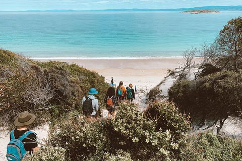 Freycinet Walking Tour - Accommodation Main Beach 2