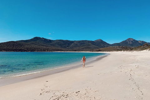 Freycinet Walking Tour - Accommodation Main Beach 5