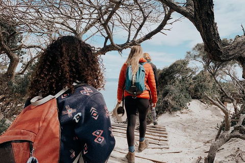 Freycinet Walking Tour - Accommodation Main Beach 6