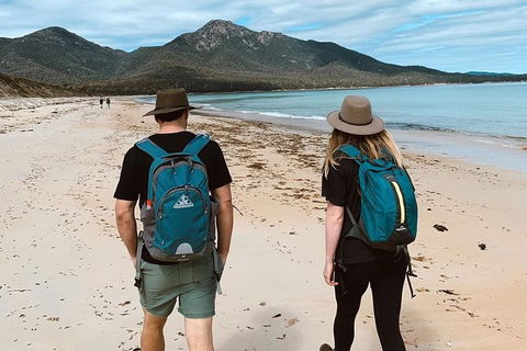 Freycinet Walking Tour - Accommodation Main Beach 7