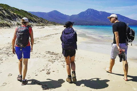 Freycinet Walking Tour - Accommodation Main Beach 1