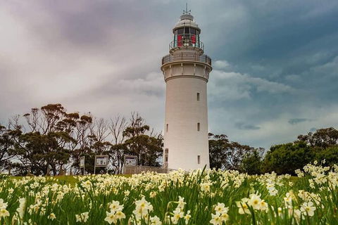 Table Cape Lighthouse Tours - Accommodation Main Beach 7