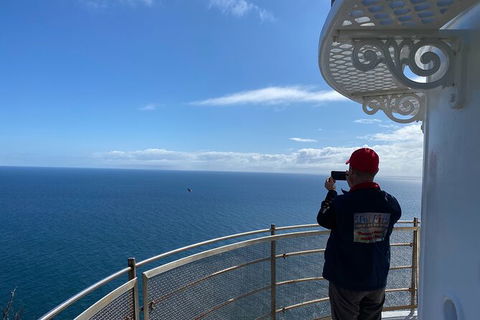 Table Cape Lighthouse Tours - Accommodation Main Beach 5