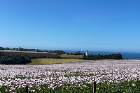 Table Cape Lighthouse Tours - Accommodation Main Beach 8