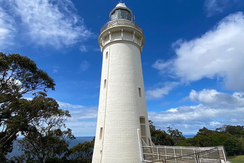 Table Cape Lighthouse Tours - Accommodation Main Beach 4