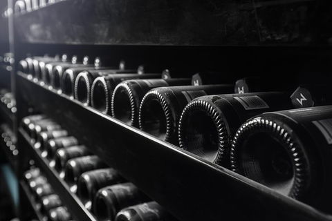 Private Winery Tour And Tasting In Moorilla And Mona Museum - Accommodation Main Beach 3