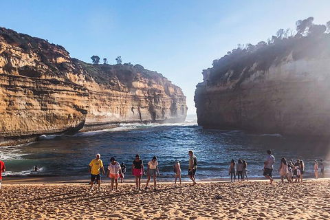 Great Ocean Road & Twelve Apostes - Affordable Private Tour - Accommodation Main Beach 1