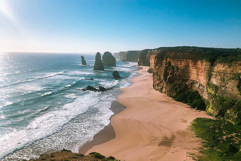 Great Ocean Road & Twelve Apostes - Affordable Private Tour - Accommodation Main Beach 6