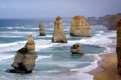 LGBT+ Friendly 2 Day Private Tour Great Ocean Road + Phillip Island - Accommodation Main Beach 0