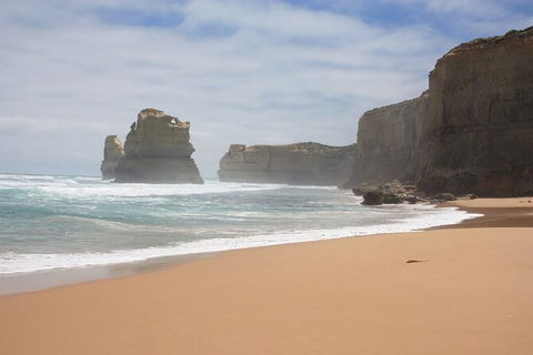 LGBT+ Friendly 3 Day Private Tour Great Ocean Road + Phillip Island - Accommodation Main Beach 0
