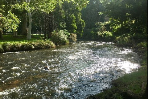 Watertube Experience In Yarra River - Accommodation Main Beach 3