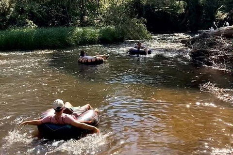Watertube Experience In Yarra River - Accommodation Main Beach 8