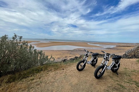 E-Bike Hire Super Cruzer In Phillip Island - Accommodation Main Beach 3