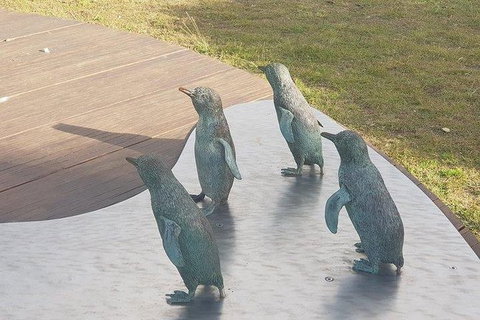 Phillip Island Penguin And Wildlife Tour - Accommodation Main Beach 14