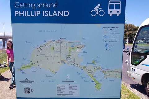 Phillip Island Penguin And Wildlife Tour - Accommodation Main Beach 28