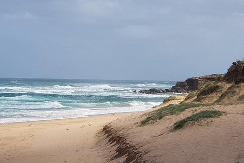 Phillip Island Penguin And Wildlife Tour - Accommodation Main Beach 10