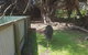 Phillip Island Penguin And Wildlife Tour - thumb 5