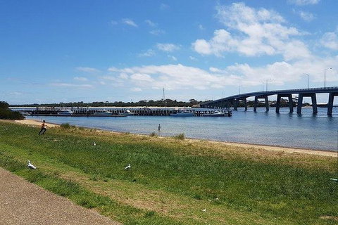 Phillip Island Penguin And Wildlife Tour - Accommodation Main Beach 24