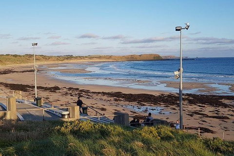 Phillip Island Penguin And Wildlife Tour - Accommodation Main Beach 8