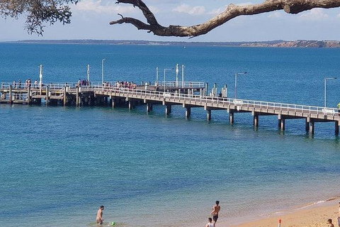 Phillip Island Penguin And Wildlife Tour - Accommodation Main Beach 2