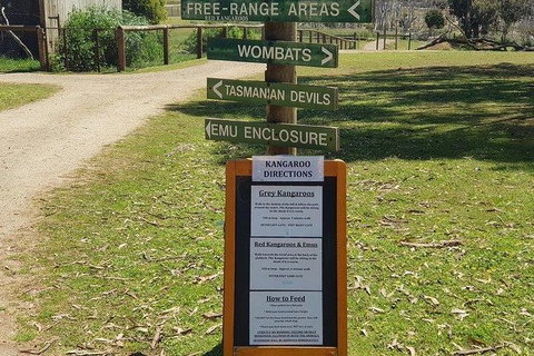 Phillip Island Penguin And Wildlife Tour - Accommodation Main Beach 4