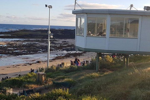 Phillip Island Penguin And Wildlife Tour - Accommodation Main Beach 33