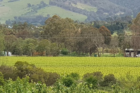 Day Tour Of Yarra Valley Puffing Billy And Rayners Orchard - Accommodation Main Beach 44