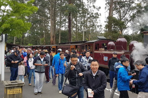 Day Tour Of Yarra Valley Puffing Billy And Rayners Orchard - Accommodation Main Beach 3