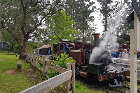 Day Tour Of Yarra Valley Puffing Billy And Rayners Orchard - Accommodation Main Beach 14