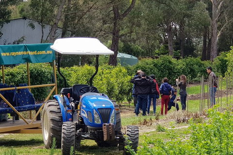 Day Tour Of Yarra Valley Puffing Billy And Rayners Orchard - Accommodation Main Beach 10
