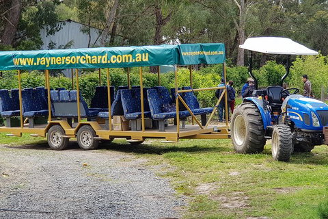 Day Tour Of Yarra Valley Puffing Billy And Rayners Orchard - Accommodation Main Beach 48