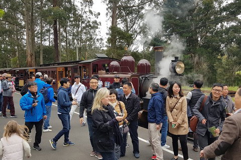 Day Tour Of Yarra Valley Puffing Billy And Rayners Orchard - Accommodation Main Beach 18