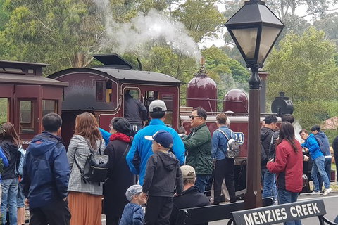 Day Tour Of Yarra Valley Puffing Billy And Rayners Orchard - Accommodation Main Beach 40
