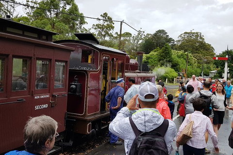 Day Tour Of Yarra Valley Puffing Billy And Rayners Orchard - Accommodation Main Beach 23